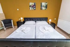 Dvoulůžkový pokoj Deluxe s manželskou postelí